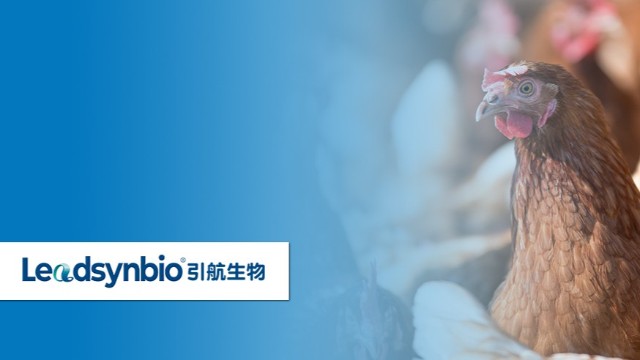 產(chǎn)品科普|關(guān)于25-羥基維生素D?，你不得不知道的9個(gè)問(wèn)答